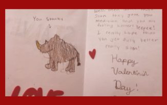 Students Send Valentines to a New Friend valentines day, stanley, rhino
