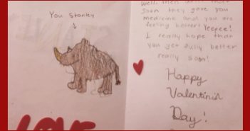 valentines day, stanley, rhino