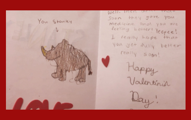 valentines day, stanley, rhino