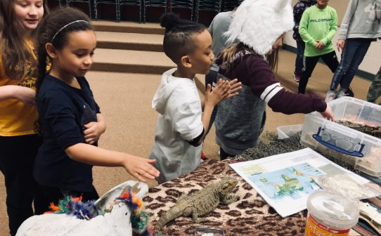 Rosa Parks ES, wildlife