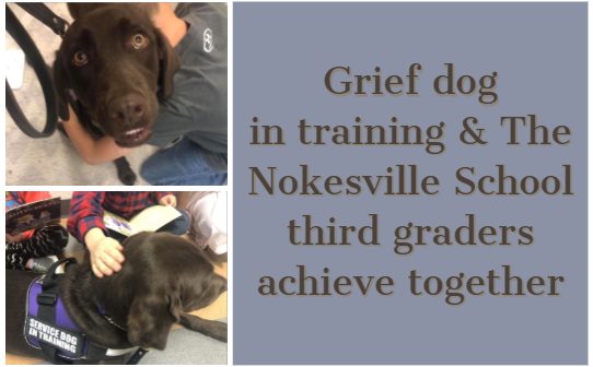 grief dog, pwcs