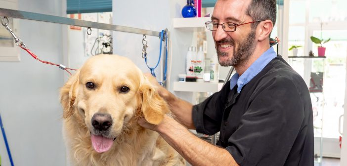 dog groomer, ferature 0519