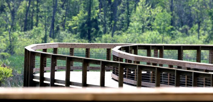 Neabsco Regional Park, boardwalk