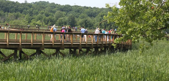 Neabsco Boardwalk