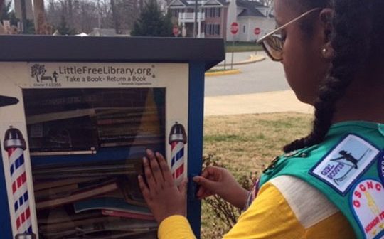 Book Fairy, Pennington Traditional
