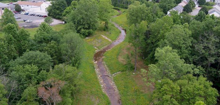 Deweys Creek