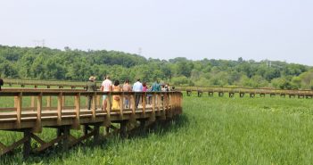 Building the Neabsco Creek Boardwalk: Balancing Access and Preservation neabsco creek boardwalk