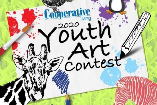 NOVEC, art contest