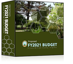 FY 21 budget