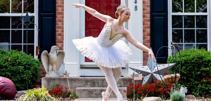 porch swans, Artistry Reimagined