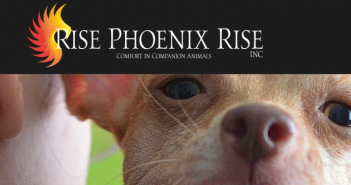 Rise Phoenix Rise Inc