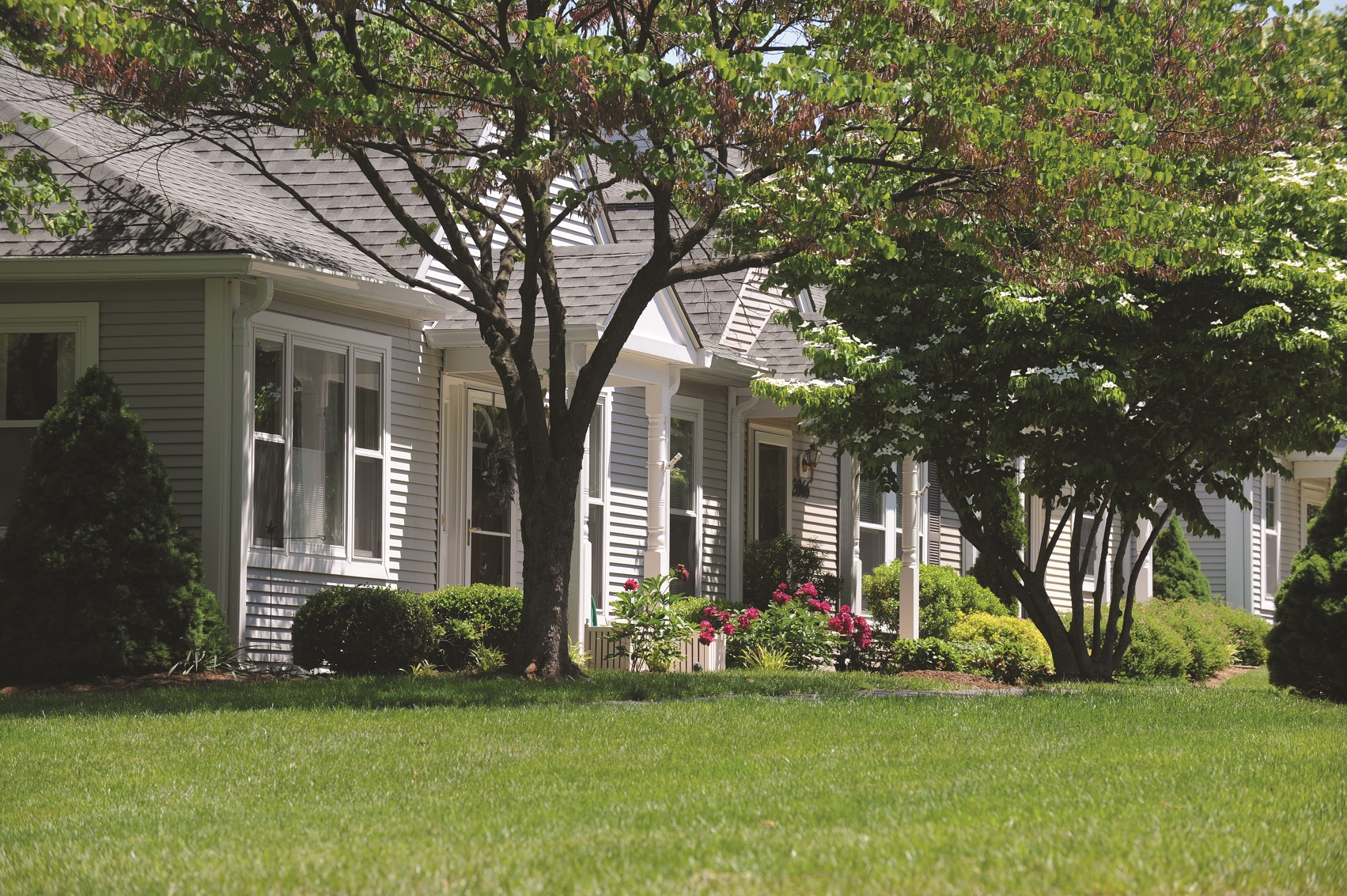 Seniors Find an Engaging Home at Westminster at Lake Ridge