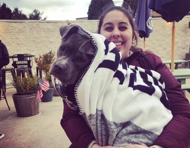 fetch pet care
