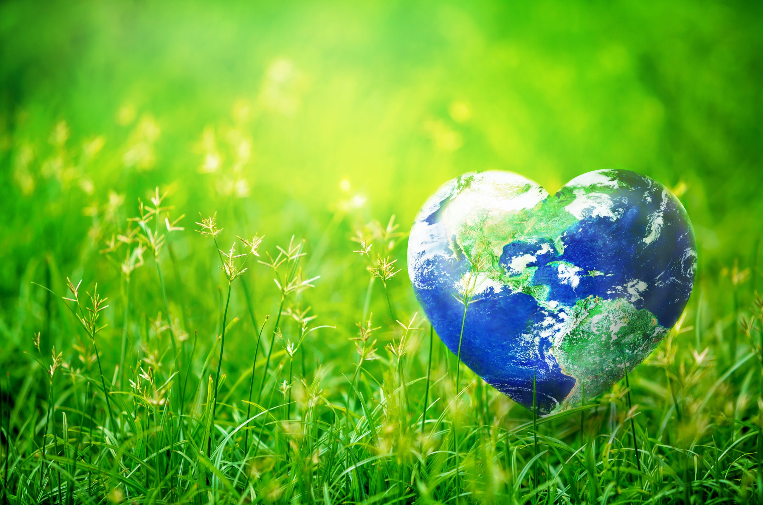 День земли 2019. Международный день земли. Природа экология. Всемирный день окружающей среды. Чистая природа.