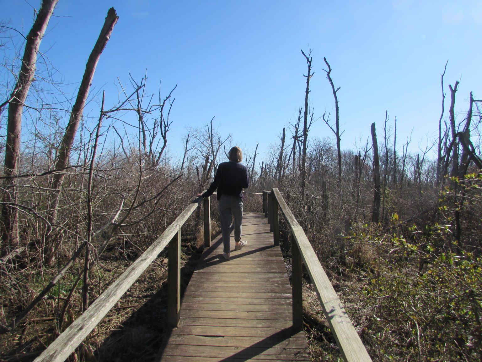 Piscataway Park, Accokeek, Maryland Prince William Living
