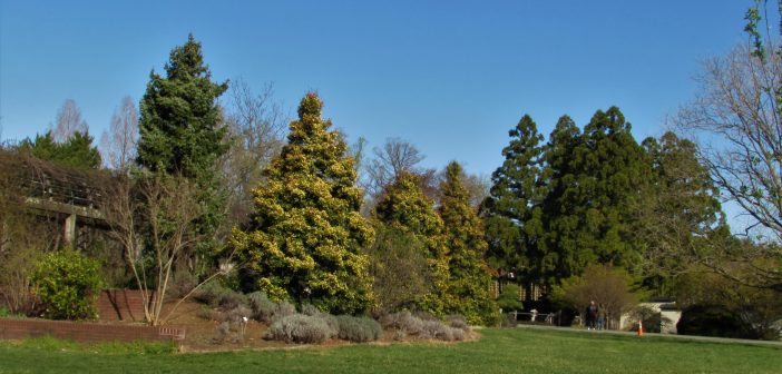 National Arboretum, John Cowgill