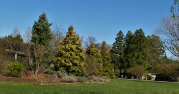 National Arboretum, John Cowgill