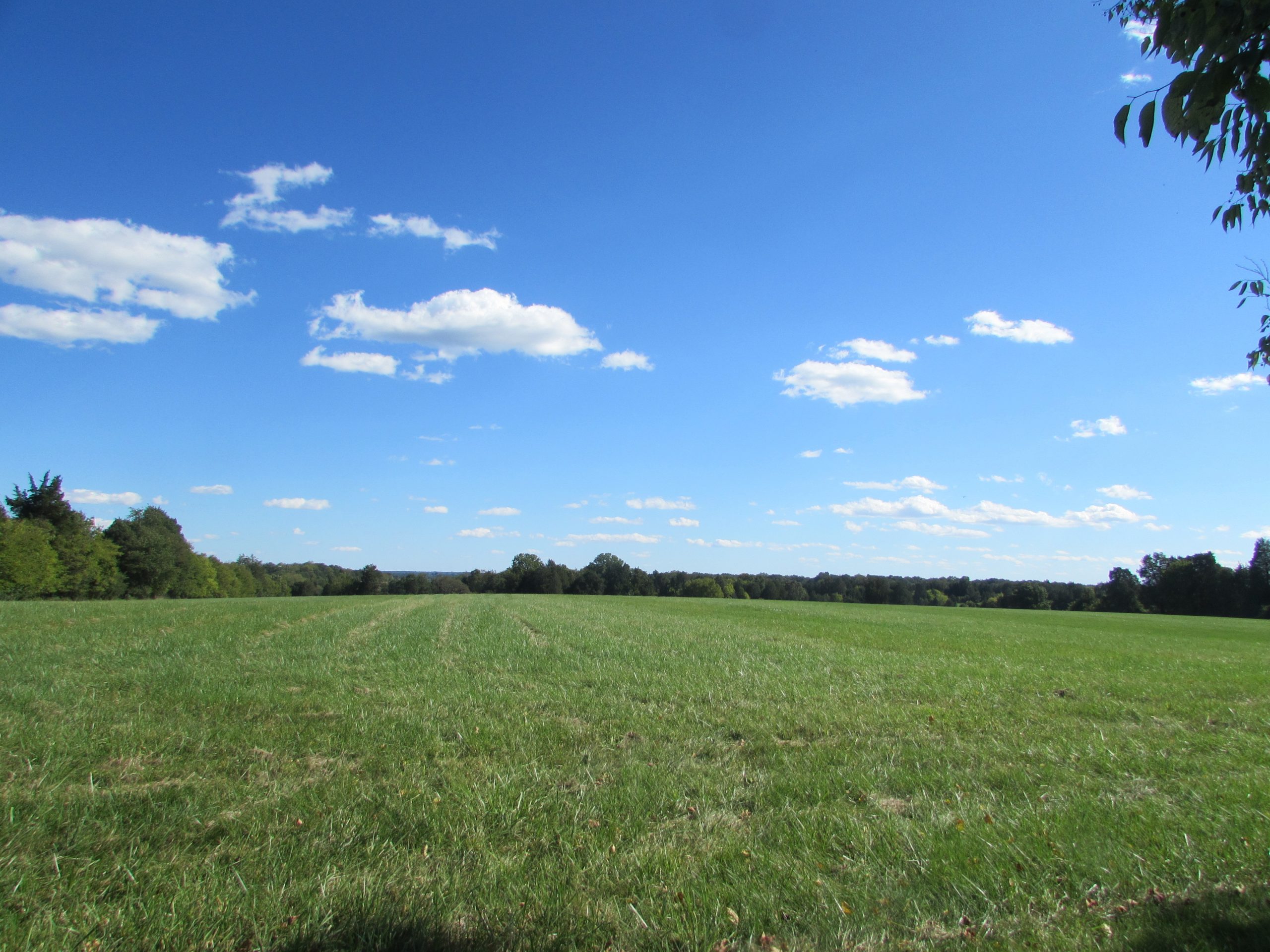 Bristoe Station Battlefield Heritage Park, Bristow, Virginia  Prince 