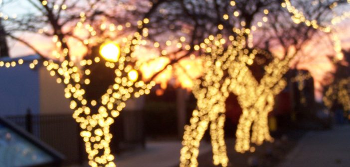 Historic Manassas Christmas lights