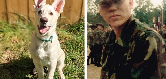 Semper K9, Sonny