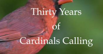 Thirty Years of Cardinals Calling