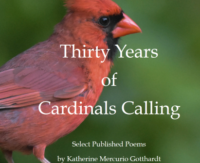 Thirty Years of Cardinals Calling