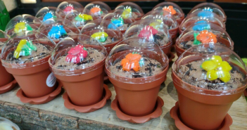 Cakes by Happy Eatery, Earth Day