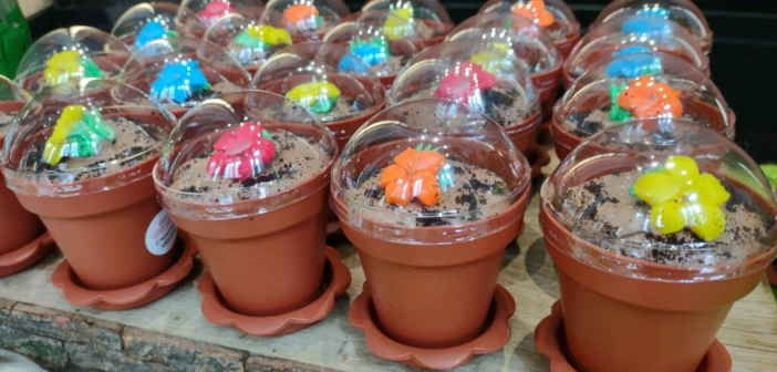 Cakes by Happy Eatery, Earth Day