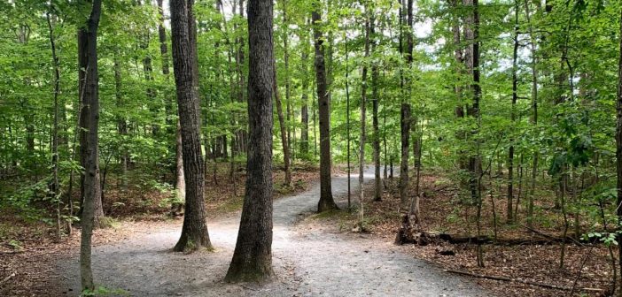 park trail