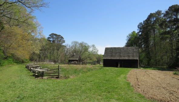 acacia tobacco road wood flooring Virginia Mill Works 1/2