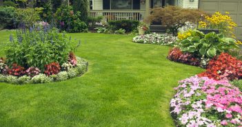Green Up Your Patch of Earth: Local and Online Resources for Lush Lawns and Beautiful Beds garden, landscape