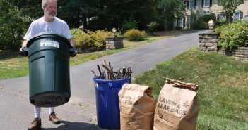 yard waste to curb