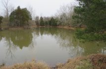 Leopold's Preserve