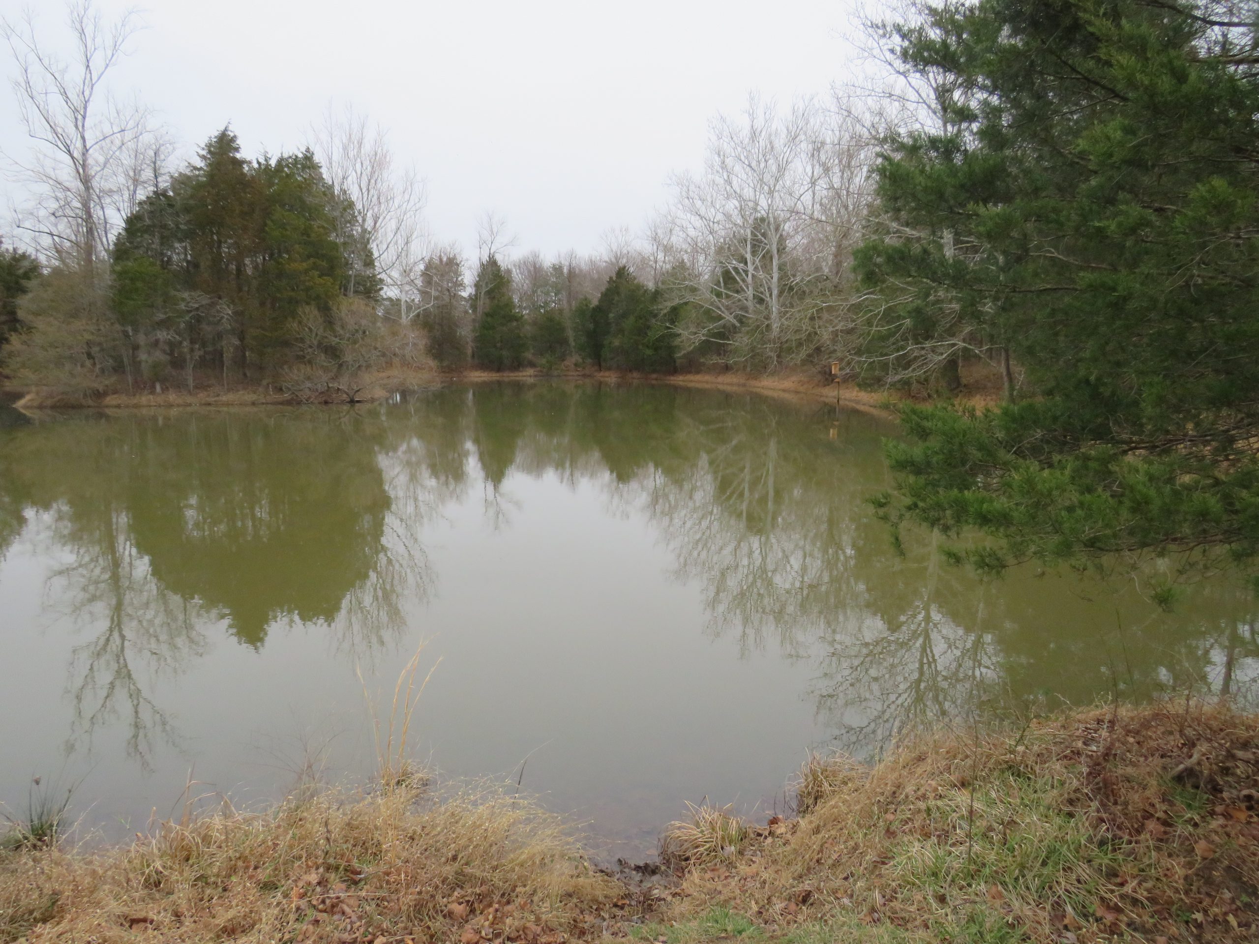 Leopold’s Preserve in Haymarket Prince William Living