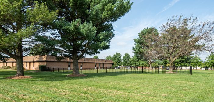 Celebrate Spring with Prince William Public Libraries | Prince William ...