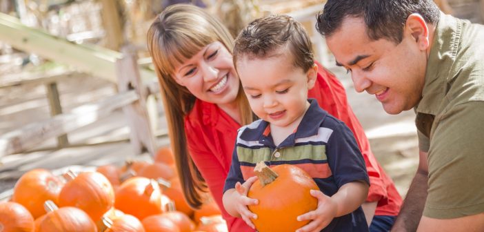 family at a pumpkin patch