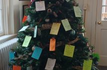 Un-Trim-A-Tree