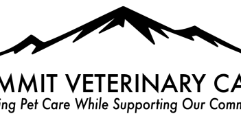 summit logo