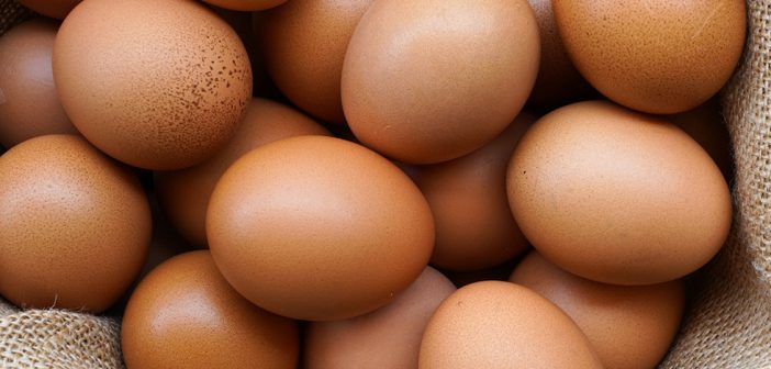 brown eggs in a basket