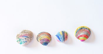 colorful seashells