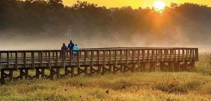 Neabsco boardwalk