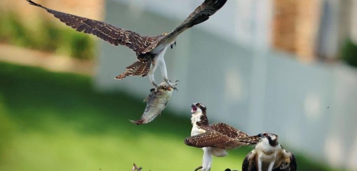 photo contest winner 2025