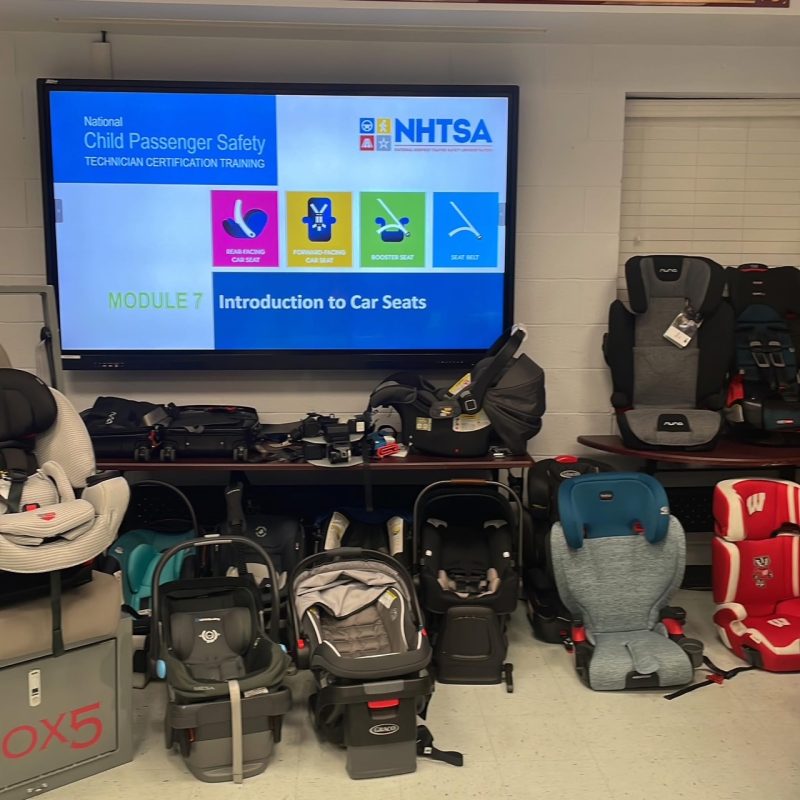 Saving Prince WIlliam's Littles
