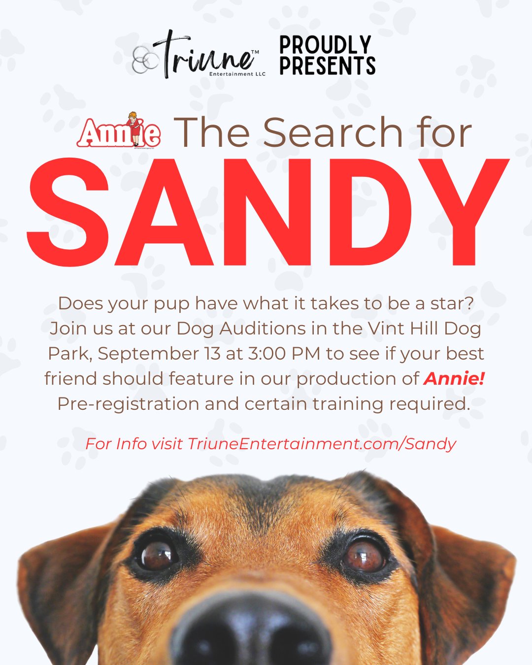 Search for Sandy, Annie, Triune