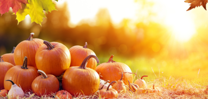 pumpkins, fall leaves