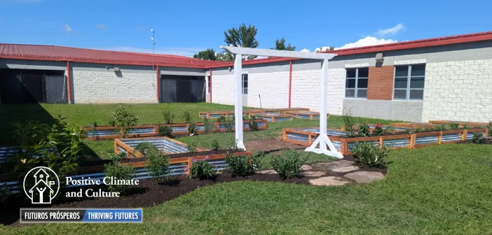 Porter Traditional School garden