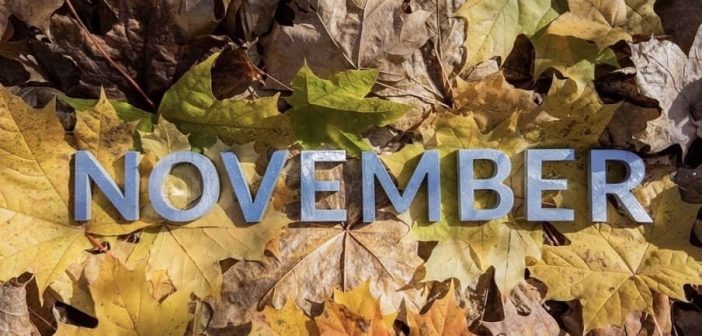 November, leaves and nuts