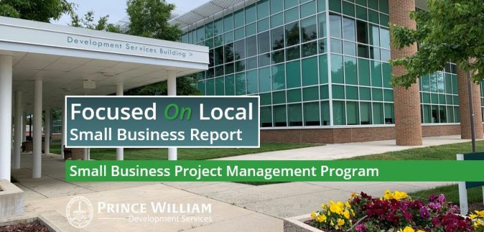 small business report, PWC Development Services