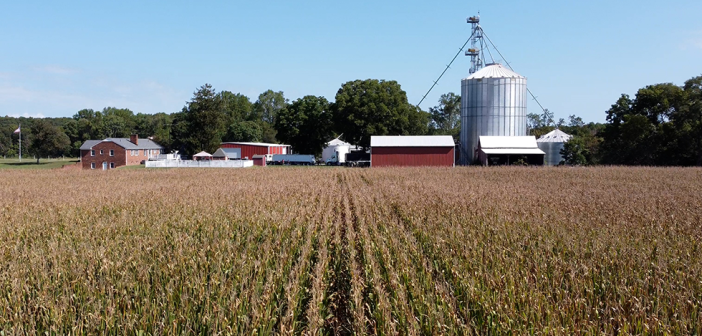 cornfield, barn, silo