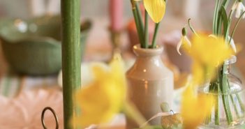 daffodils and candle, spring